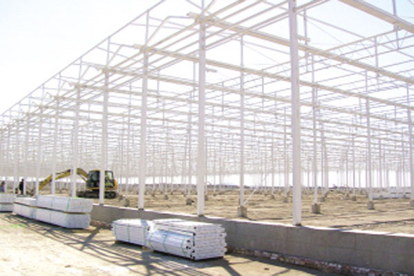 天津?yàn)I?;ɑ芸萍紙@區(qū) 天津?yàn)I海花卉科技園區(qū)